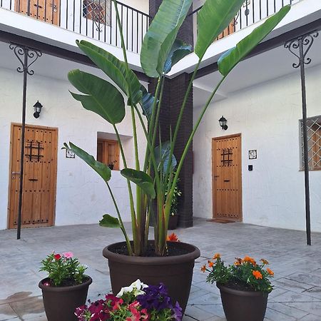 Suite San Mateos 15 Jerez de la Frontera Esterno foto