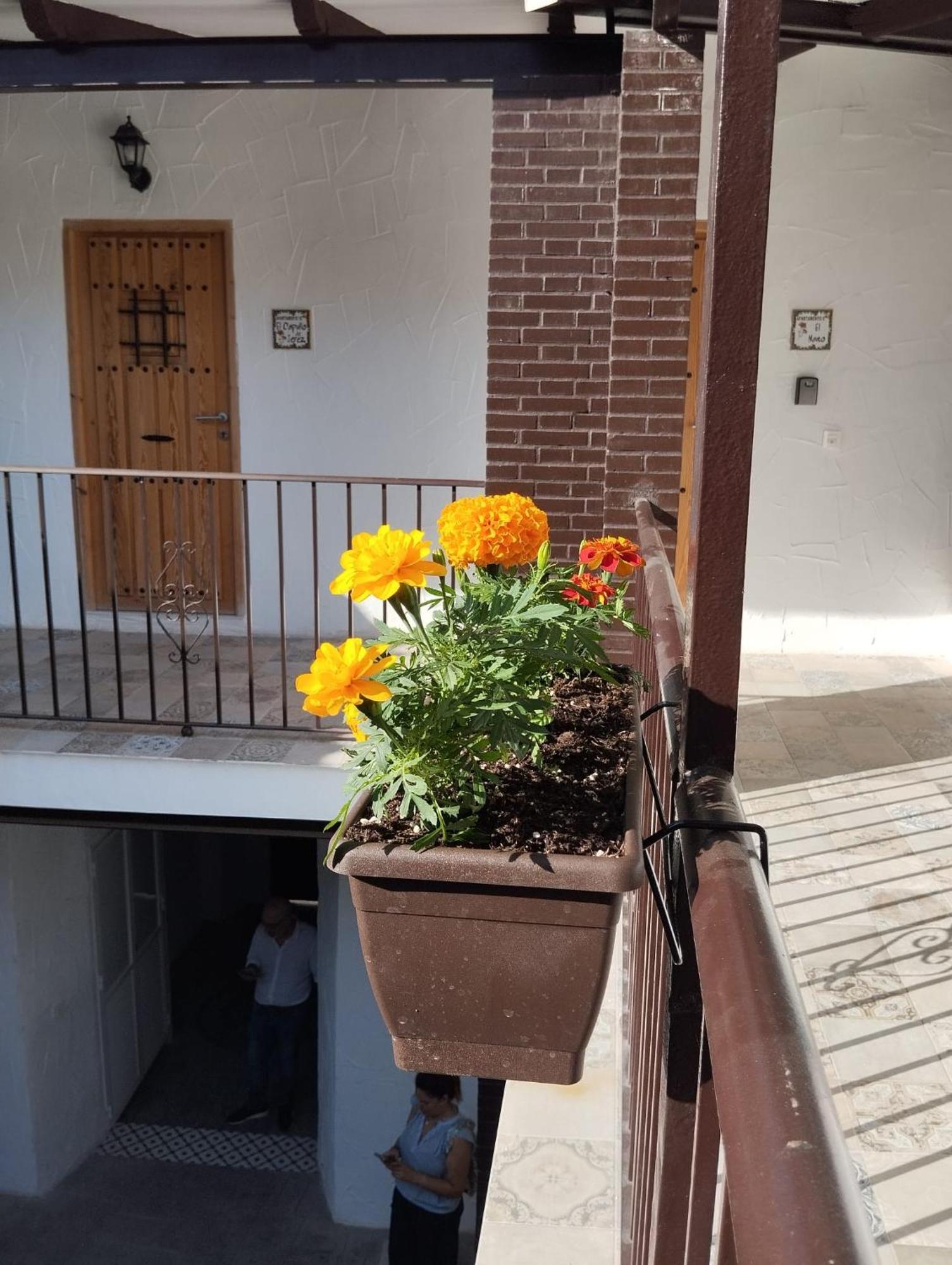 Suite San Mateos 15 Jerez de la Frontera Esterno foto